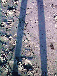 Earth.gif
