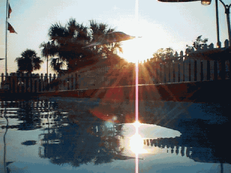 summer10.gif