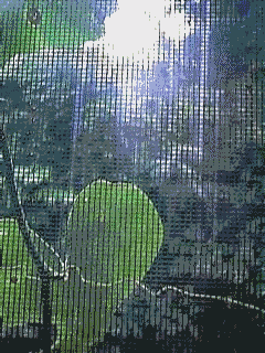 summer14.gif