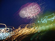 03_colored_lights_19.JPG