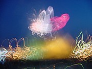 03_colored_lights_20.JPG