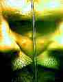 mirror03.jpg