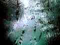rainy19.jpg